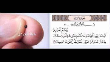 سورة الأنبياء آية 47 بصوت القارىء الشيخ مشارى راشد