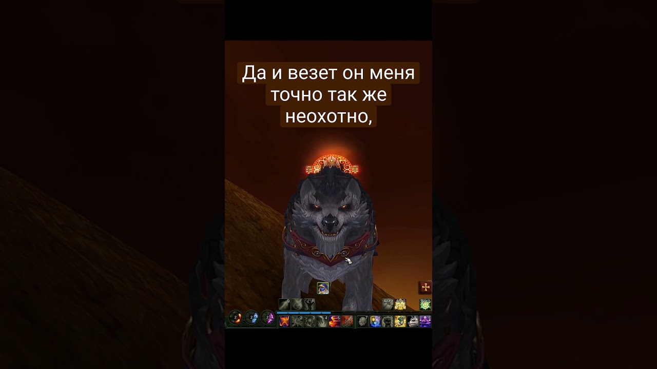 Будни на границе... 