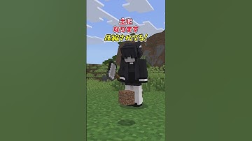 【アドオン紹介】入手ルートに自由度を！【統合版マイクラ】