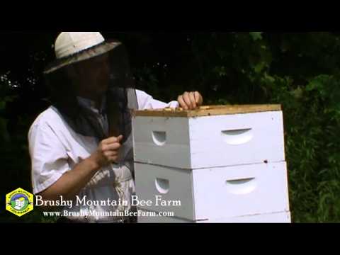 Natural Honey Harvester and a Fume Pad