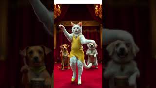 Cat Dance