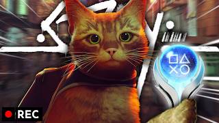 TEK OTURUŞTA STRAY'İN BÜTÜN BAŞARIMLARINI ALMAYI DENEDİM