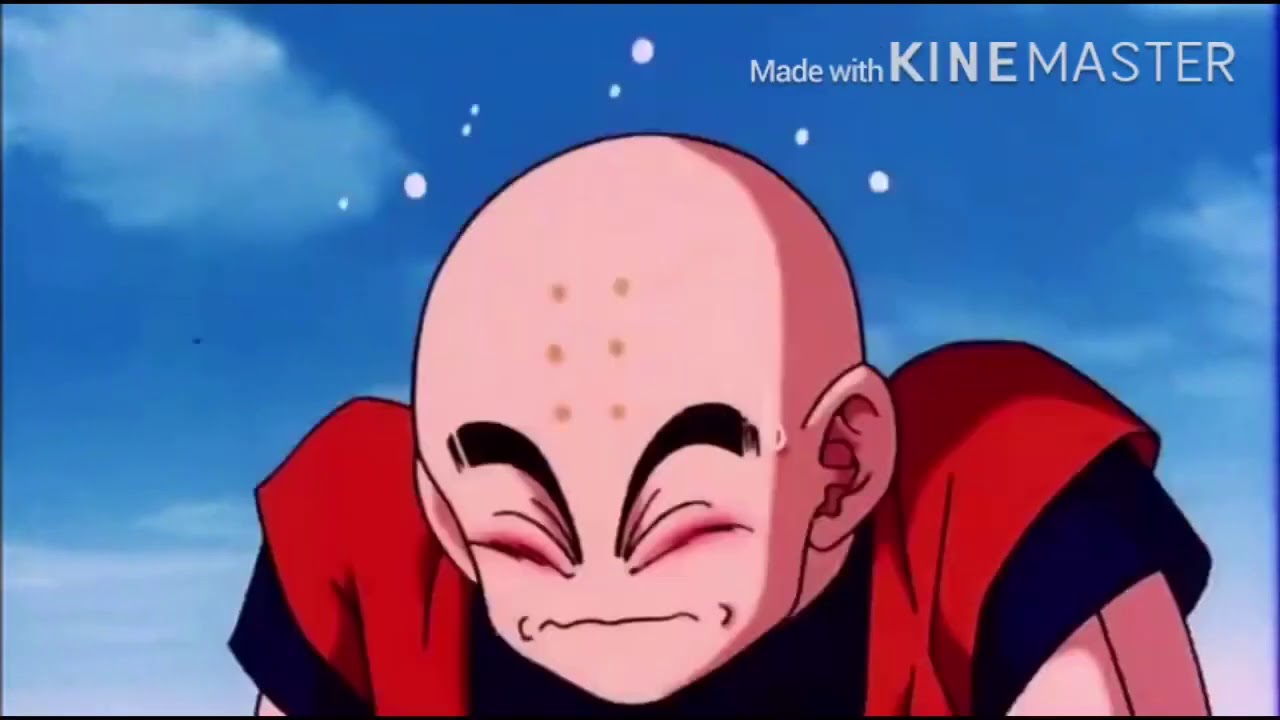 Dragon Ball Z Funny Moments 1 YouTube