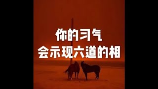 201805 你的习气会示现六道的相20918
