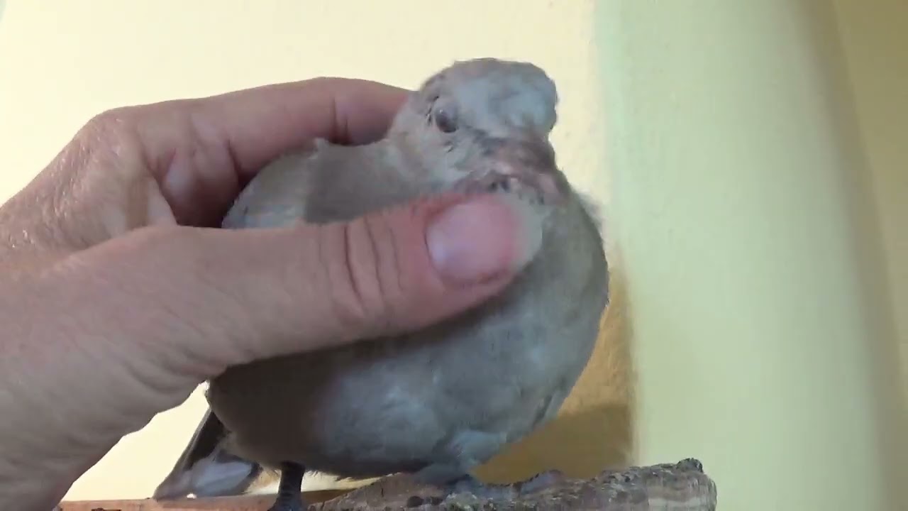 FirstFlurFlug   💖