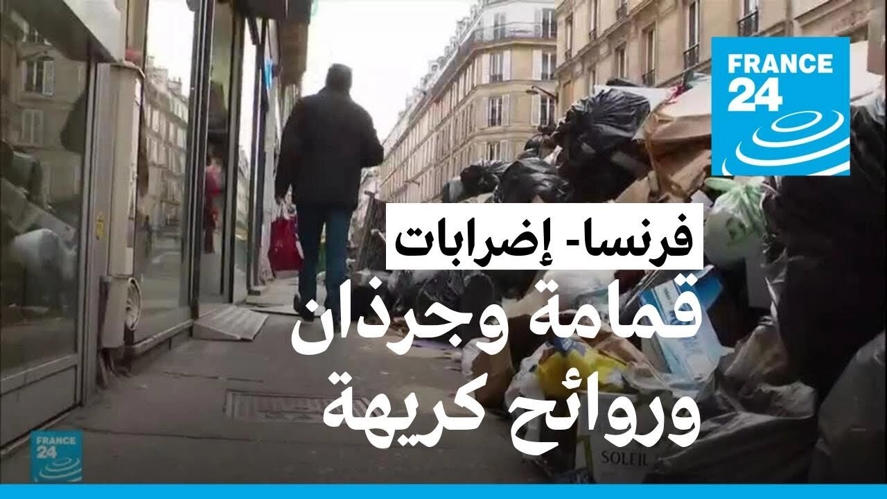الجرذان وروائح القمامة الكريهة تغزو شوارع باريس وتهدد بانتشار الأمراض
 - نشر قبل 49 دقيقة