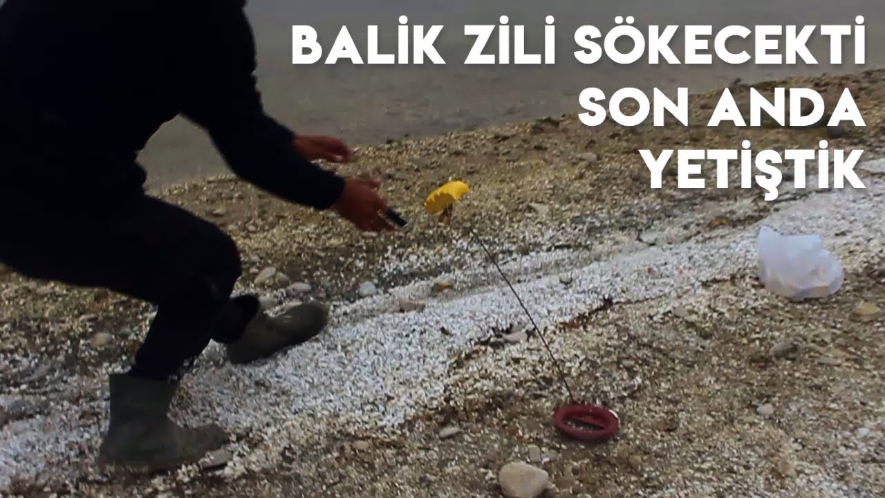 Balık avı - Öğleden sonra limit üstü dev balıklar - Balıklar ikişer ikişer geldi (trofe sazan avı)