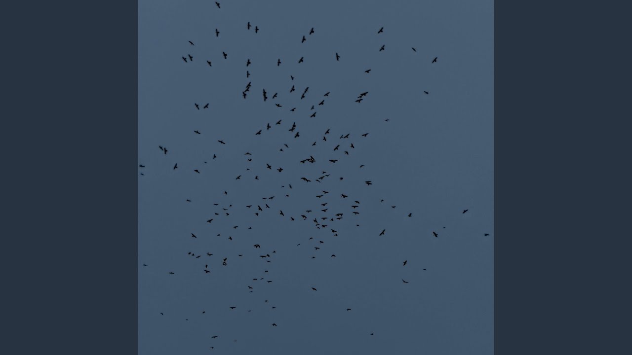 the story of my life