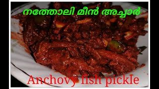 നത്തോലി അച്ചാർ | Netholi Achaar | FISH PICKLE | Kerala Style Meen Achar|Kerala Fish Pickle Ep - 31