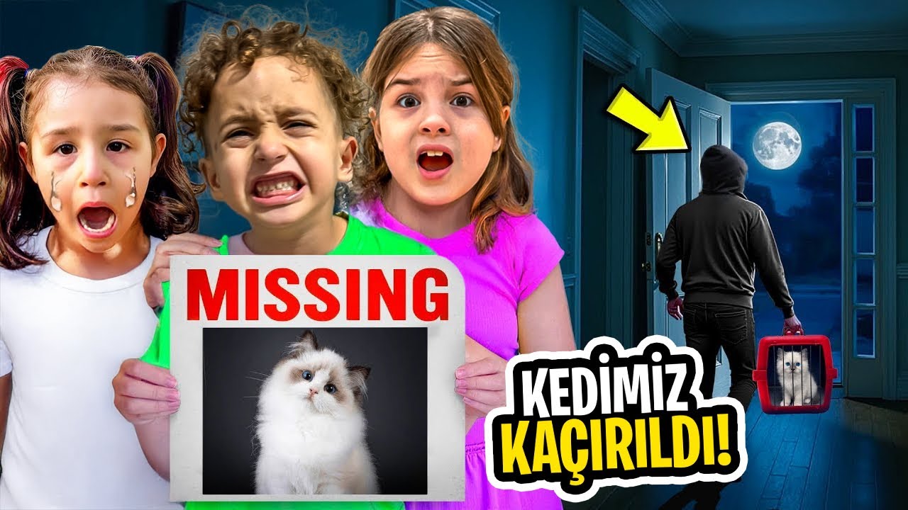 KUZEY ELİF KEDİMİZ KAÇIRILDI ‼️ ŞÜPHELİ KİM !!