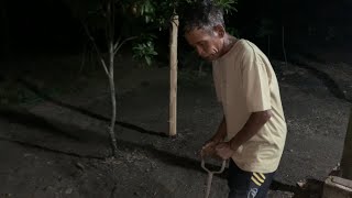 MR. KANCIL DIGS A DRAINAGE DITCH IN FRONT OF HIS HOUSE TO PREVENT FLOODING