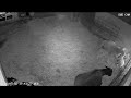 3.25.26 -  Lamb Watch! - Executive Decisions Were Made