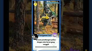 Mesin Penebang Pohon