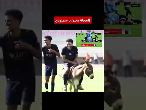 المحلة منين يا سمنودي كوميكس تعادل الزمالك وغزل المحلة  الاهلي الزمالك ترند اكسبلور