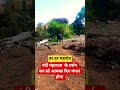 #cow #gau Gau Seva karna Sahi Dharm hai#bhaktibhajan #viralvideo #viralreels #viralshorts ##animals