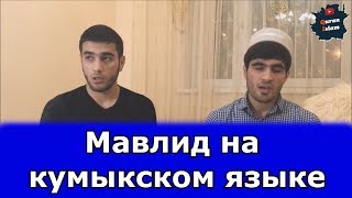 Мавлид на кумыкском языке