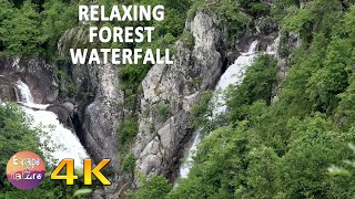 4Κ Waterfall and stream in the Virgin forest-Καταρράκτης Λεπίδα και Αρκουδόρεμα Παρανέστι Δράμας