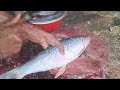 Amazing Big Fish Cutting Skills | Rohu & Tilapia Filleting | Satisfying Seafood Prep