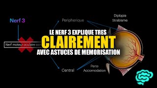 🔴 Le Nerf 3 Et Sa Paralysie Expliqués Très Clairement par Dr Astuce