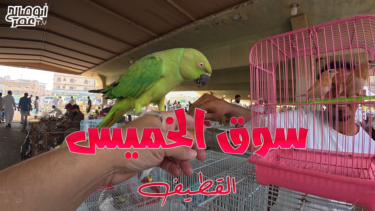 سوق الخميس بالقطيف