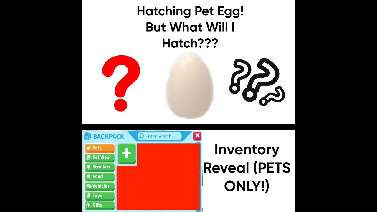 Hatching A Pet Egg + Inventory Reveal! (Pets Only) YouTube