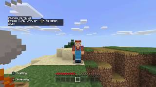 Minecraft Bedrock Diamond World Record