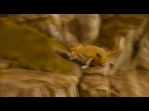 تصویر فیلم Alpha and Omega (film)