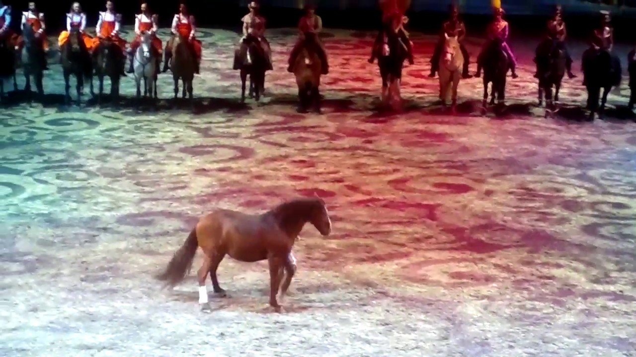 APASSIONATA 2018 in OLDENBURG  Ende der Show "Der Traum" 17.02.18