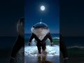 Shark bait