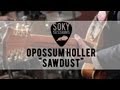 SOKY Sessions Opossum Holler Sawdust mp3