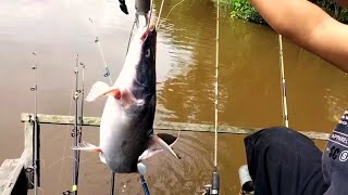 Mancing Baung Geso Di Sungai Kampar @Istana Sayap Part 1 #pelalawan