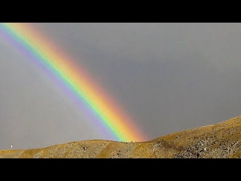 მეუფე ნიკოლოზი - ძალადობა და თავდაცვა