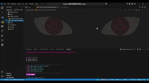 TOOL YOUTUBE tải video hàng loạt và tự động edit thêm logo