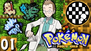 Pokemon Fool's Gold | Pokedex Playthrough | PART 1 screenshot 4