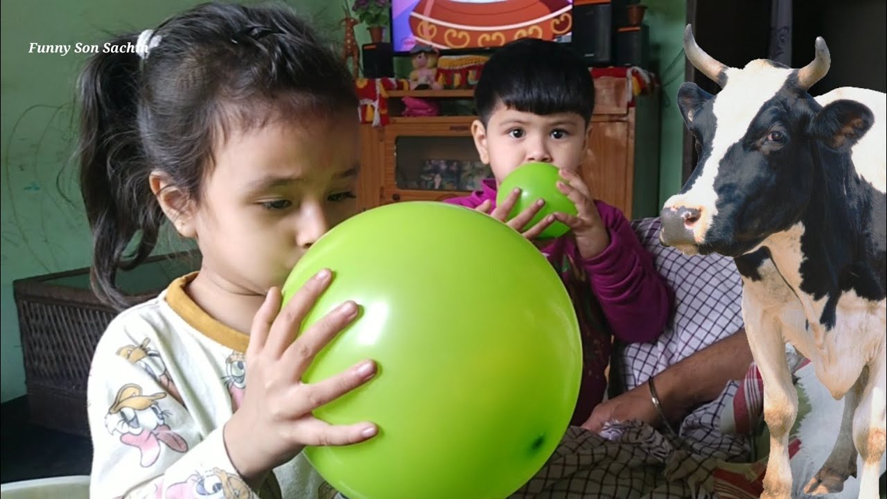 Cute Boy & Girls Playing with Beloon || Cow sounds Moo effect | Village Boy Beloon life || 