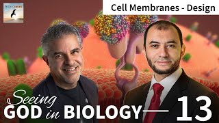 Cell Membranes are Designed! | Seeing God in Biology | with Dr. Fuz Rana