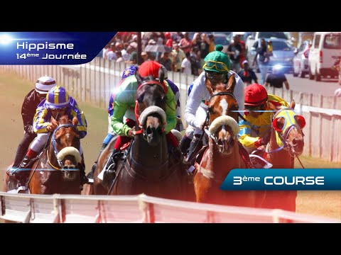 Hippisme 14e Journée
