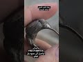 خاتم تاريخي من العقيق اليمني القديم صياغه حميريه تواصيل الى جميع دول العالم واتساب 967771069114