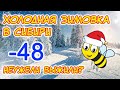 Холодная зимовка в сибири. -48 градусов. Как чувствуют себя пчелы.