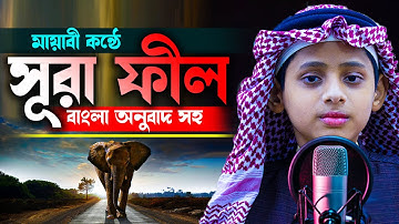 সূরা আল্‌ ফীল | سورة الفيل | surah Al Fil | বাংলা উচ্চারণ সহ H Kamrul Hasan মারকাযুল কুরআন মাদরাসা