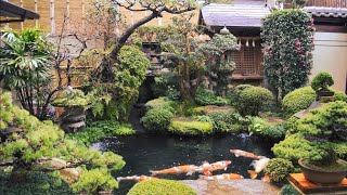 Japanese Gardens, Around the World