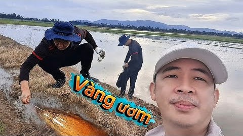 câu Lươn ở Mương Nước Tự Nhiên - Bí Kíp Bắt Lươn Khủng Không Bao Giờ Trượt 