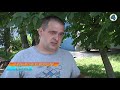 Науковці придумали спосіб, як очистити став за допомогою спеціальних водоростей
