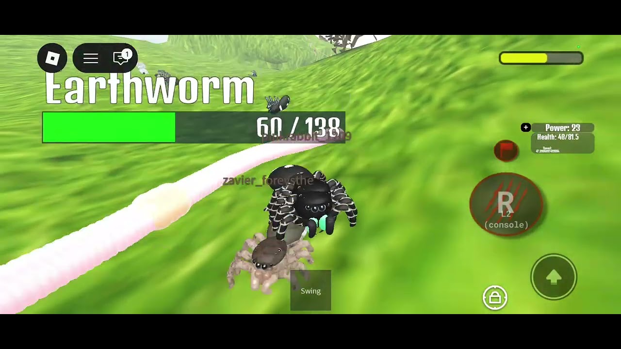 Spider Clan Play as Female Peacock Spider (Jumping Spider Family) 