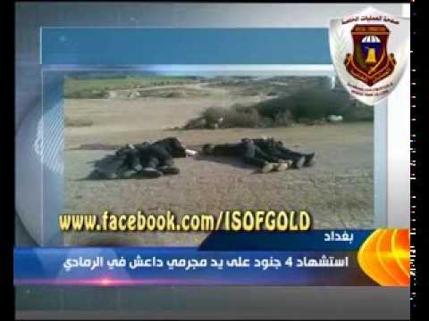 تقرير عن شهداء الفرقة الذهبية الاربعه المغدورين