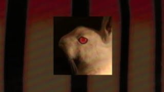 emin nilsen - BANE (slowed   reverb)