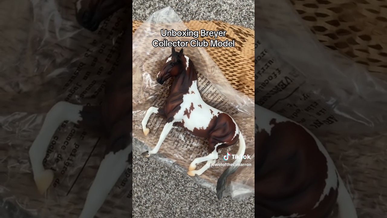 ~Unboxing Breyer Collector Club Model~ 