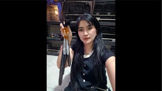 LONG-TAILED MURAI BATU PROMO IS EVEN CRAZIER 7-27-2025