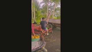 Video Presentation Pedal Powered Coconut Conveyor