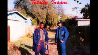 Watch Totally Insane The Insane video